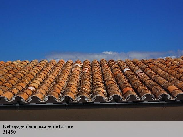 Nettoyage demoussage de toiture 31450