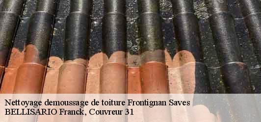 Nettoyage demoussage de toiture  frontignan-saves-31230 BELLISARIO Franck, Couvreur 31