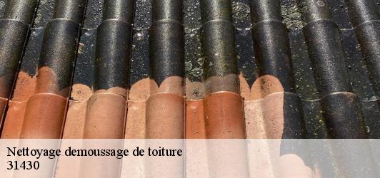 Nettoyage demoussage de toiture  fustignac-31430 Couverture Midi Pyrénées
