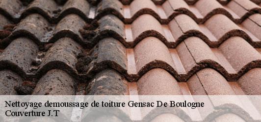 Nettoyage demoussage de toiture  gensac-de-boulogne-31350 Couverture J.T