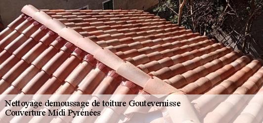 Nettoyage demoussage de toiture  goutevernisse-31310 Couverture Midi Pyrénées