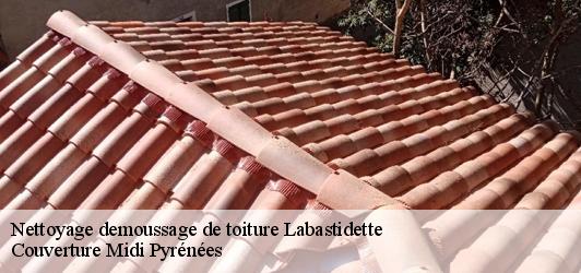 Nettoyage demoussage de toiture  labastidette-31600 Couverture Midi Pyrénées