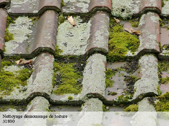 Nettoyage demoussage de toiture  larcan-31800 Couverture J.T