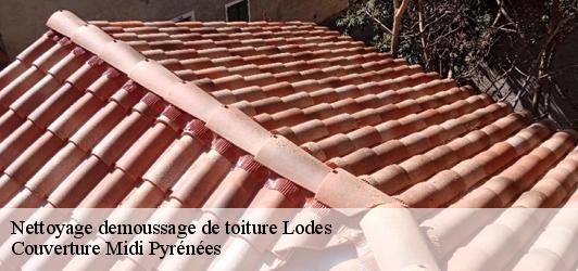 Nettoyage demoussage de toiture  lodes-31800 Couverture Midi Pyrénées