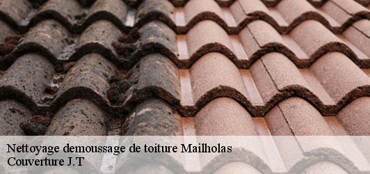 Nettoyage demoussage de toiture  mailholas-31310 Couverture J.T