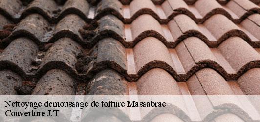 Nettoyage demoussage de toiture  massabrac-31310 Couverture J.T