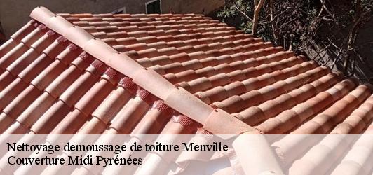Nettoyage demoussage de toiture  menville-31530 Couverture Midi Pyrénées