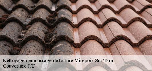 Nettoyage demoussage de toiture  mirepoix-sur-tarn-31340 Couverture J.T