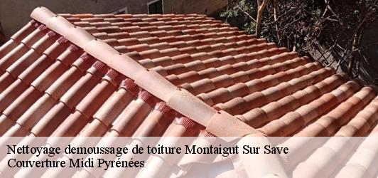 Nettoyage demoussage de toiture  montaigut-sur-save-31530 Couverture Midi Pyrénées