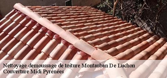 Nettoyage demoussage de toiture  montauban-de-luchon-31110 Couverture Midi Pyrénées