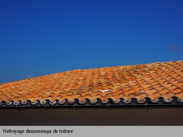 Nettoyage demoussage de toiture