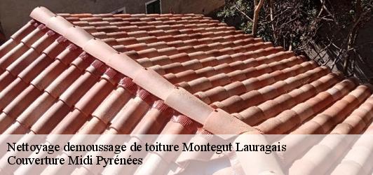 Nettoyage demoussage de toiture  montegut-lauragais-31540 Couverture Midi Pyrénées
