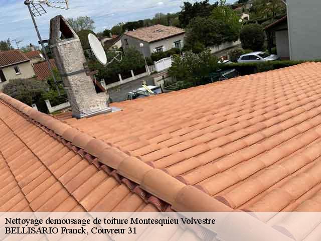 Nettoyage demoussage de toiture  montesquieu-volvestre-31310 BELLISARIO Franck, Couvreur 31