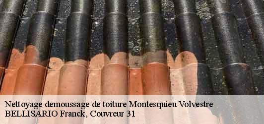 Nettoyage demoussage de toiture  montesquieu-volvestre-31310 BELLISARIO Franck, Couvreur 31