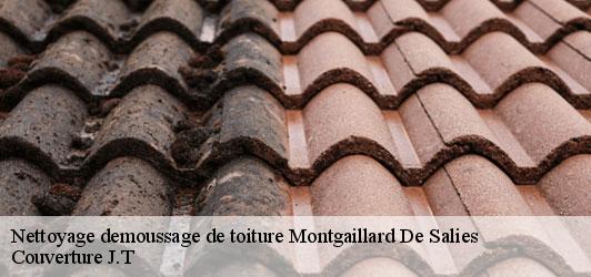 Nettoyage demoussage de toiture  montgaillard-de-salies-31260 Couverture J.T
