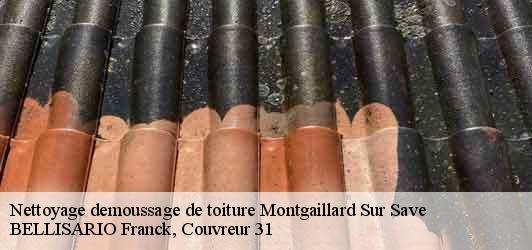 Nettoyage demoussage de toiture  montgaillard-sur-save-31350 BELLISARIO Franck, Couvreur 31