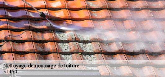 Nettoyage demoussage de toiture  montlaur-31450 Couverture J.T