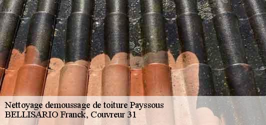 Nettoyage demoussage de toiture  payssous-31510 BELLISARIO Franck, Couvreur 31