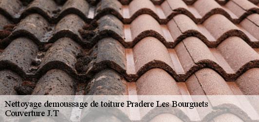Nettoyage demoussage de toiture  pradere-les-bourguets-31530 Couverture J.T