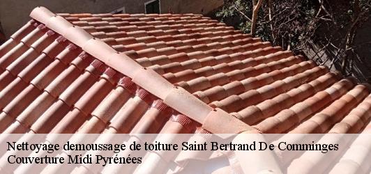 Nettoyage demoussage de toiture  saint-bertrand-de-comminges-31510 Couverture Midi Pyrénées