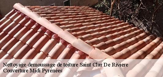 Nettoyage demoussage de toiture  saint-clar-de-riviere-31600 Couverture Midi Pyrénées