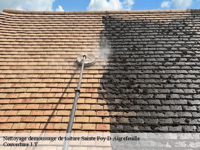 Nettoyage demoussage de toiture  sainte-foy-d-aigrefeuille-31570 Couverture J.T