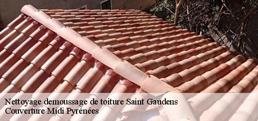 Nettoyage demoussage de toiture  saint-gaudens-31800 Couverture Midi Pyrénées