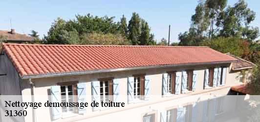 Nettoyage demoussage de toiture  saint-martory-31360 BELLISARIO Franck, Couvreur 31