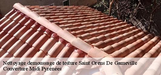 Nettoyage demoussage de toiture  saint-orens-de-gameville-31650 Couverture Midi Pyrénées