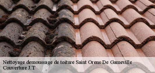 Nettoyage demoussage de toiture  saint-orens-de-gameville-31650 Couverture J.T