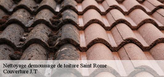 Nettoyage demoussage de toiture  saint-rome-31290 Couverture J.T