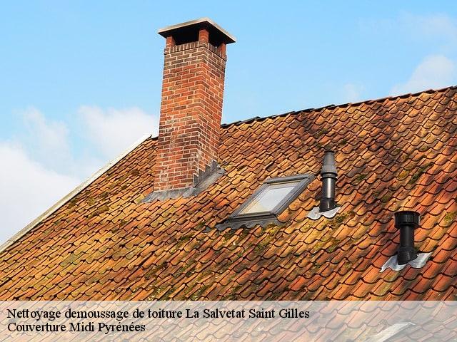 Nettoyage demoussage de toiture la-salvetat-saint-gilles-31880 Couverture Midi Pyrénées