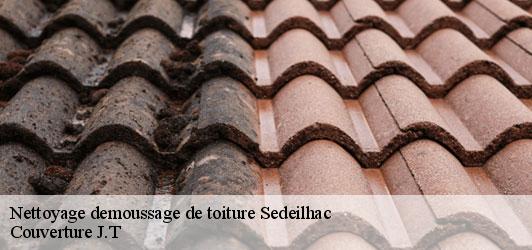 Nettoyage demoussage de toiture  sedeilhac-31580 Couverture J.T