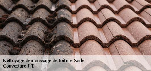Nettoyage demoussage de toiture sode-31110 Couverture J.T