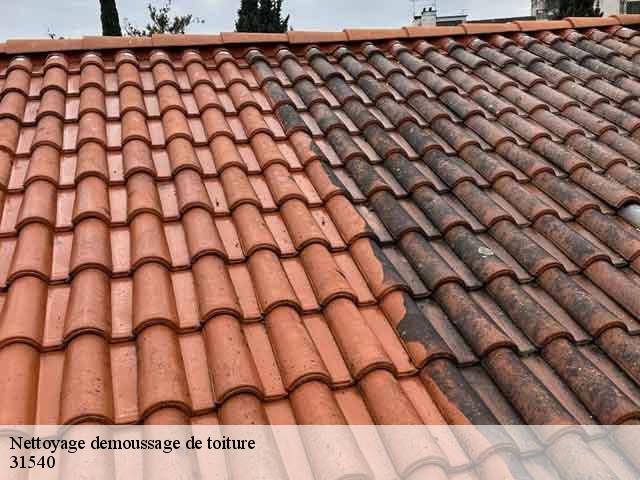 Nettoyage demoussage de toiture  vaux-31540 BELLISARIO Franck, Couvreur 31