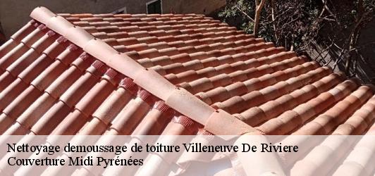 Nettoyage demoussage de toiture  villeneuve-de-riviere-31800 Couverture Midi Pyrénées