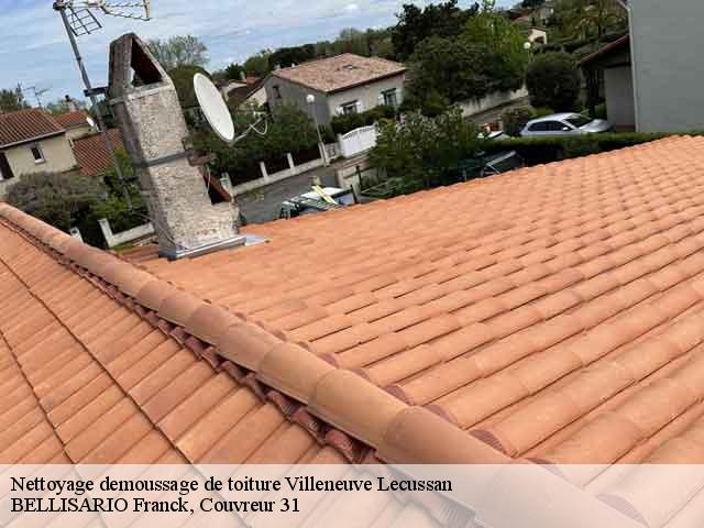 Nettoyage demoussage de toiture  villeneuve-lecussan-31580 BELLISARIO Franck, Couvreur 31