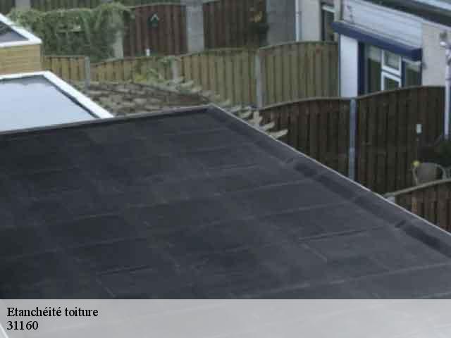 Etanchéité toiture  arbon-31160 Couverture J.T