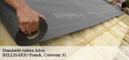 Etanchéité toiture  arlos-31440 BELLISARIO Franck, Couvreur 31