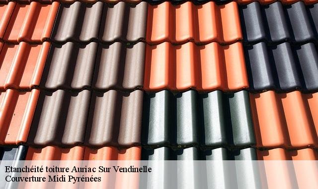 Etanchéité toiture  auriac-sur-vendinelle-31460 Couverture Midi Pyrénées