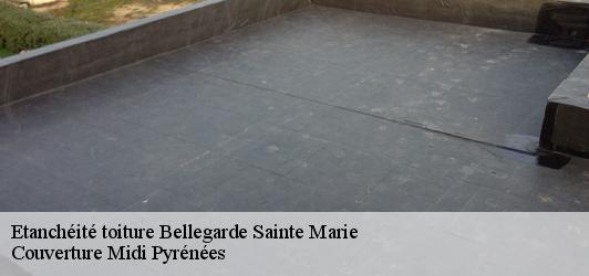 Etanchéité toiture  bellegarde-sainte-marie-31530 Couverture Midi Pyrénées