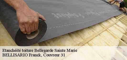Etanchéité toiture  bellegarde-sainte-marie-31530 BELLISARIO Franck, Couvreur 31