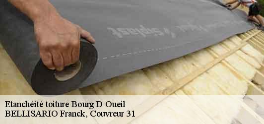 Etanchéité toiture  bourg-d-oueil-31110 BELLISARIO Franck, Couvreur 31