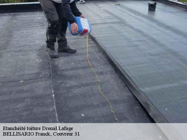 Etanchéité toiture  dremil-lafage-31280 BELLISARIO Franck, Couvreur 31