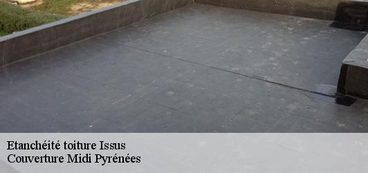 Etanchéité toiture  issus-31450 Couverture Midi Pyrénées