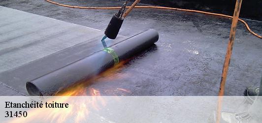 Etanchéité toiture  issus-31450 Couverture Midi Pyrénées