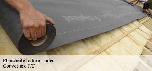 Etanchéité toiture  lodes-31800 Couverture J.T