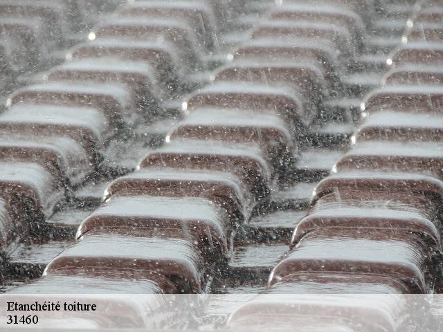 Etanchéité toiture  maureville-31460 Couverture Midi Pyrénées