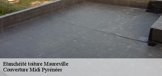 Etanchéité toiture  maureville-31460 Couverture Midi Pyrénées