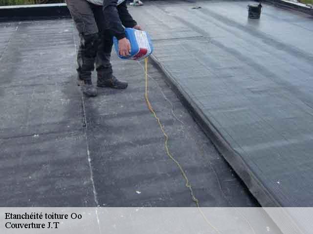 Etanchéité toiture  oo-31110 Couverture J.T